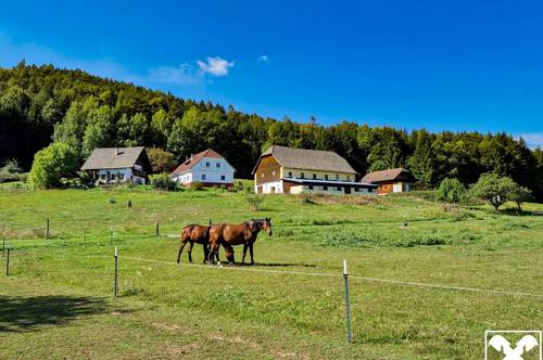 Ein Traum für Pferdeliebhaber im Süden Kärntens