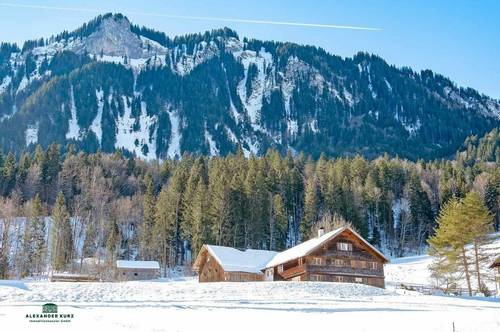 Kleiner Bauernhof im Skigebiet Bregenzerwald, Mellau - Damüls