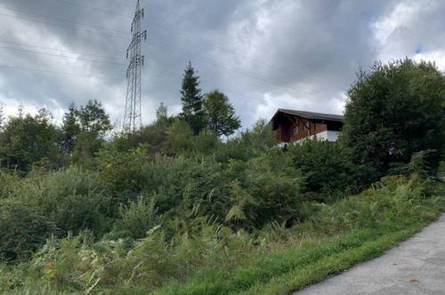 Spannendes Baugrundstück zwischen Velden und Pörtschach beim Forstsee, Gemeinde Techelsberg am Wörther See, Nähe Villach, Klagenfurt
