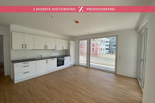 AKTION: 3 MONATE MIETZINSFREI | Pärchentraum: exklusive 2 Zimmer-Wohnung mit Terrassen-Highlight