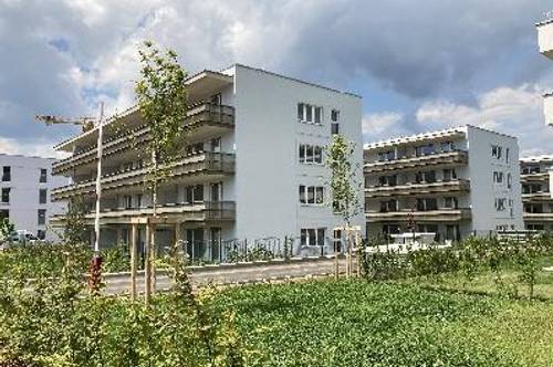 PROVISIONSFREI - Graz - ÖWG Wohnbau - Miete - 3 Zimmer 