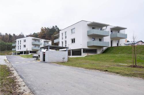 PROVISIONSFREI - Sinabelkirchen - ÖWG Wohnbau - geförderte Miete ODER geförderte Miete mit Kaufoption - 3 Zimmer 