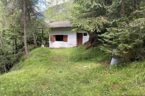 Für Sanierungskünstler: Hütte mit Freizeitwohnsitz zu verkaufen