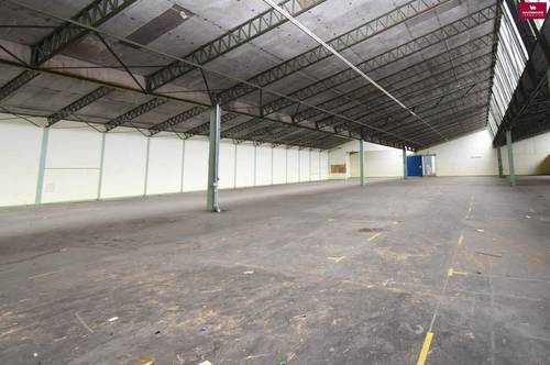 3000 m2 Lagerhalle mit Büro und Freifläche bei Traiskirchen A2 B17