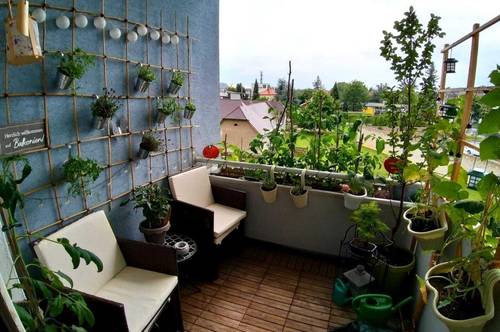 Andritz - Grazer Straße - 3 Zimmerwohnung mit Balkon, WG geeignet