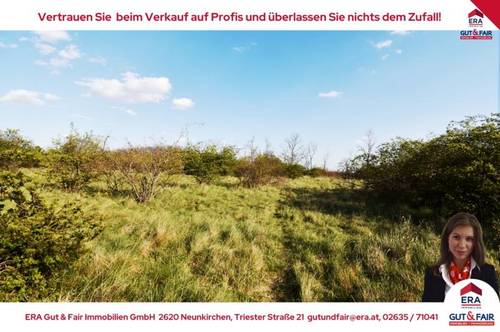 Einmalige Chance: ca. 12 ha Grünland direkt in Neusiedl/See zu verkaufen!