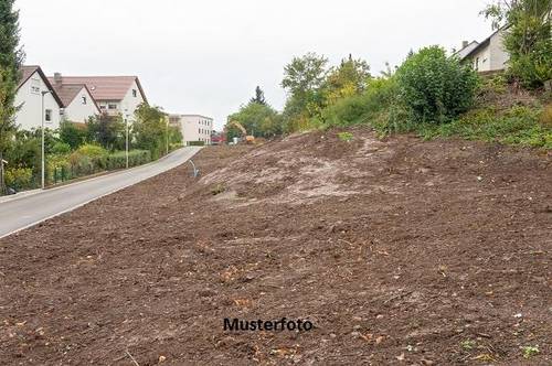 Grundstück, Kötschach-Mauthen Versteigerungsobjekt