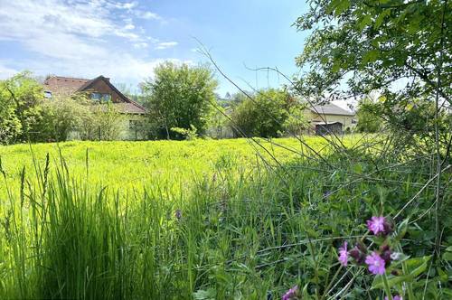 Leben in den Traunauen! Grundstück in Thalheim-Schauersberg