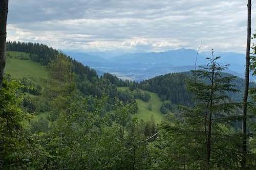 Ca. 25 ha Wald mit Bauplatz in der Ferienregion Diex! 