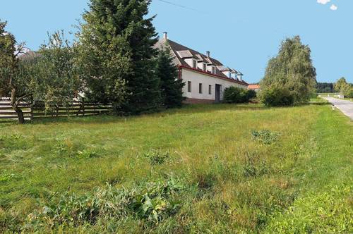 Bio-Bauernhof mit Hofmühle in Ruhelage! Biete - Suche - Tausche