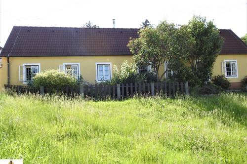 Hübsches, kleines Landhäuschen mit Vorgarten und uneinsichtigem Innenhof in Erdberg Nähe Mistelbach (12 Autominuten)!