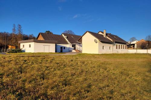 Sanierungsbedürftige Bauernhäuser im Südburgenland