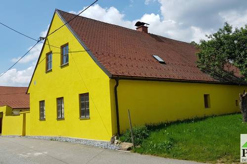 Waldviertel: Liebevoll renoviertes ehemaliges Bauernhaus in 25-Seelen-Gemeinde Nähe Raabs