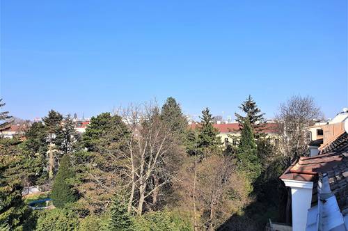 Schönbrunn – Dachterrasse – Grünblick – Stilaltbau - Familiär