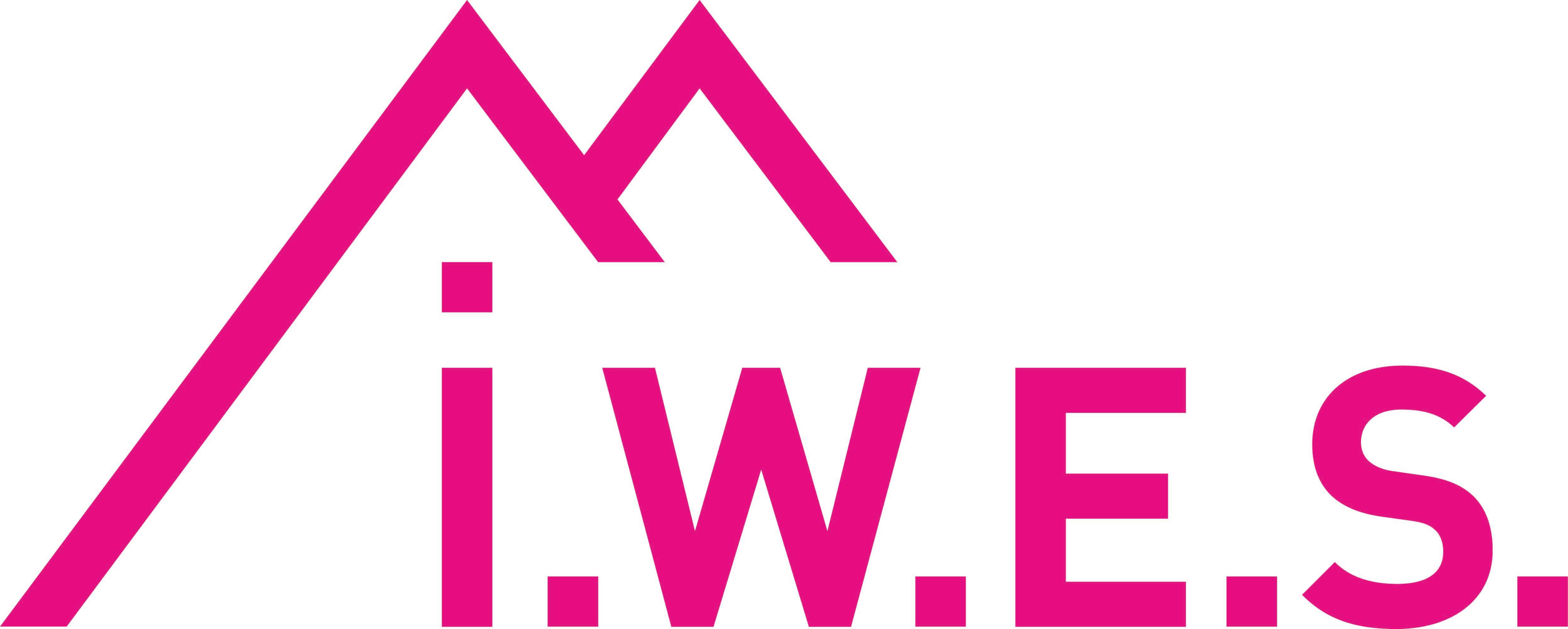 investor logo