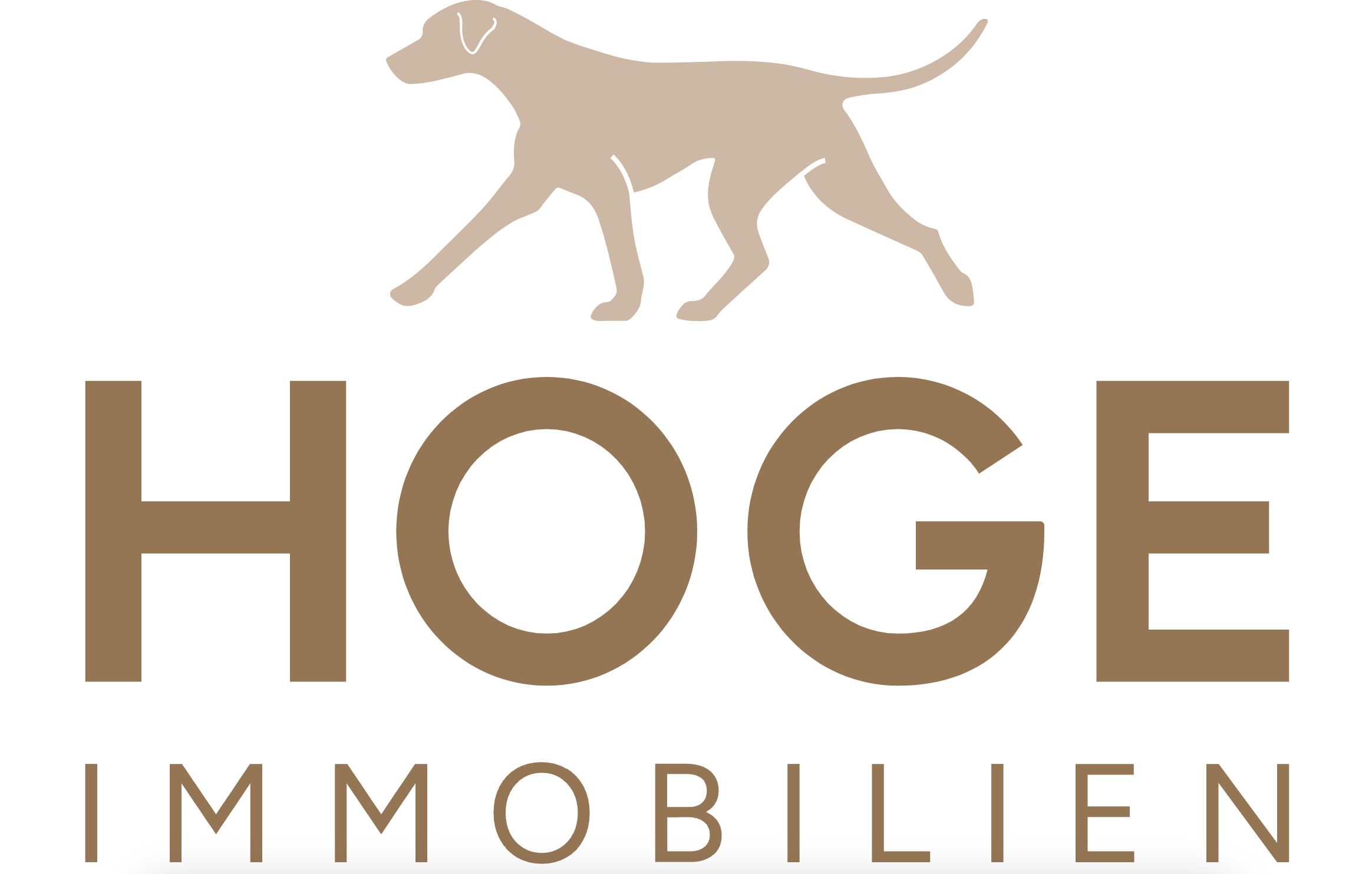 investor logo