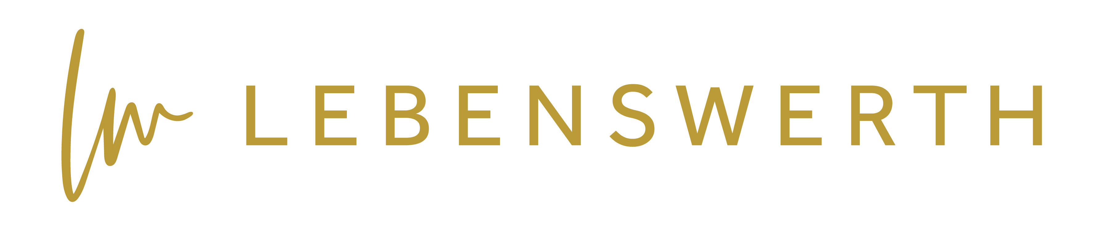 investor logo