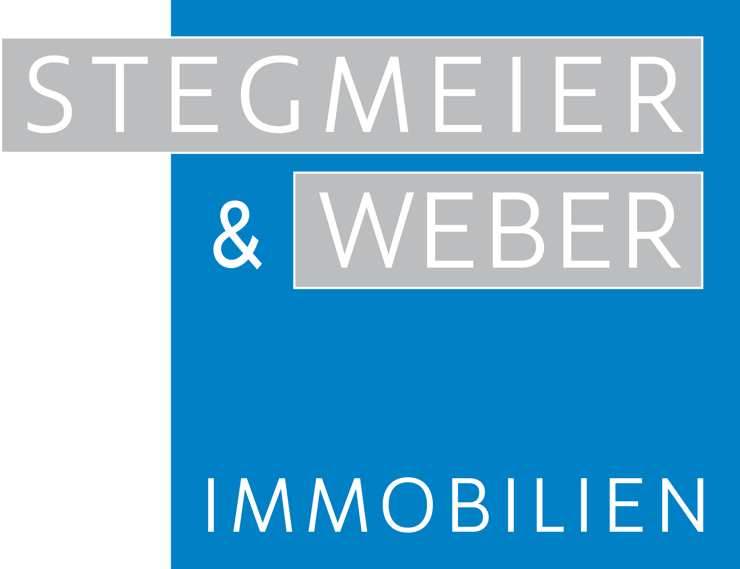 investor logo